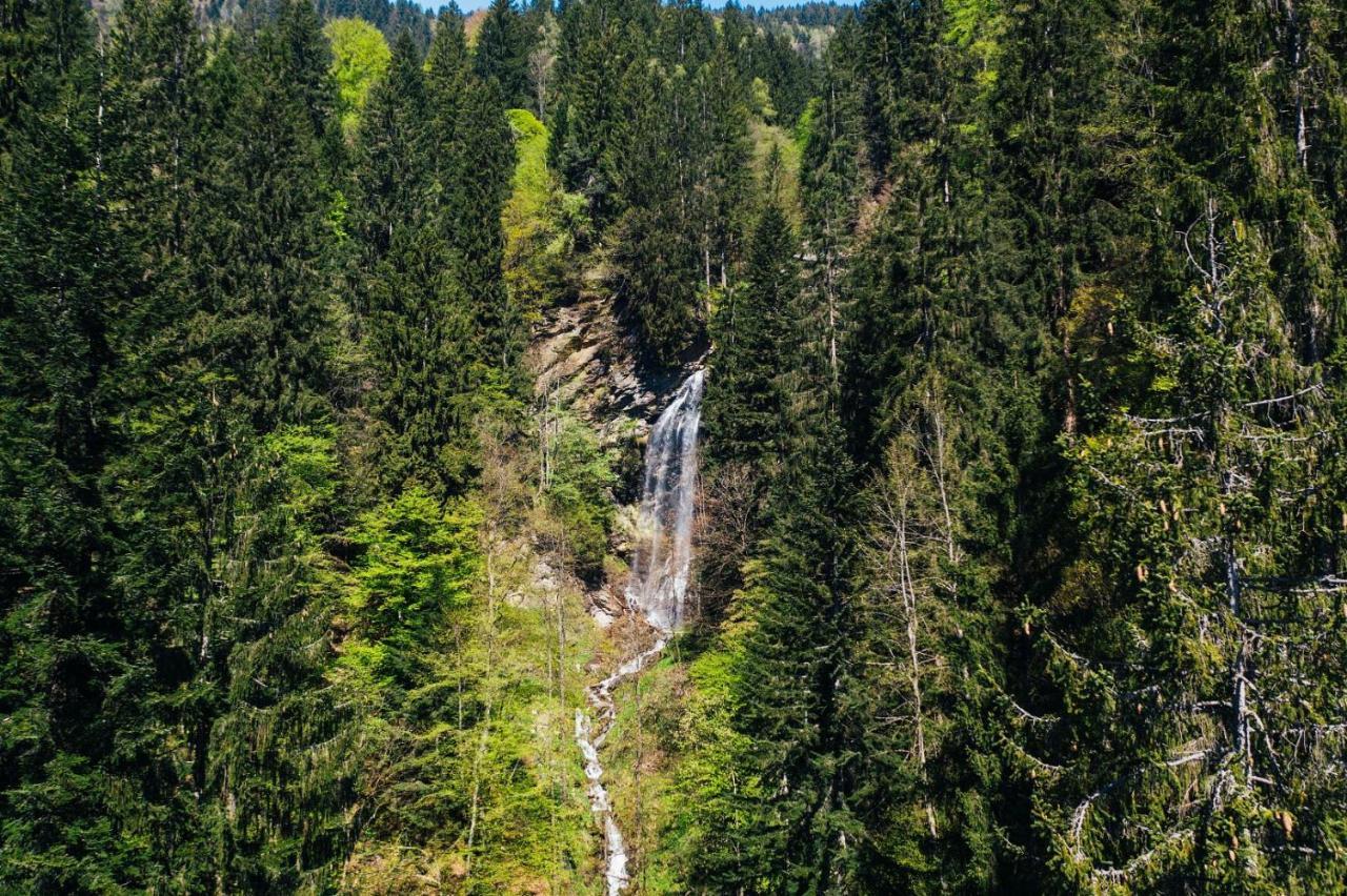 Apartment Wild - Im Skigebiet Gerlitzen & Ossiacher See Bodensdorf Zewnętrze zdjęcie